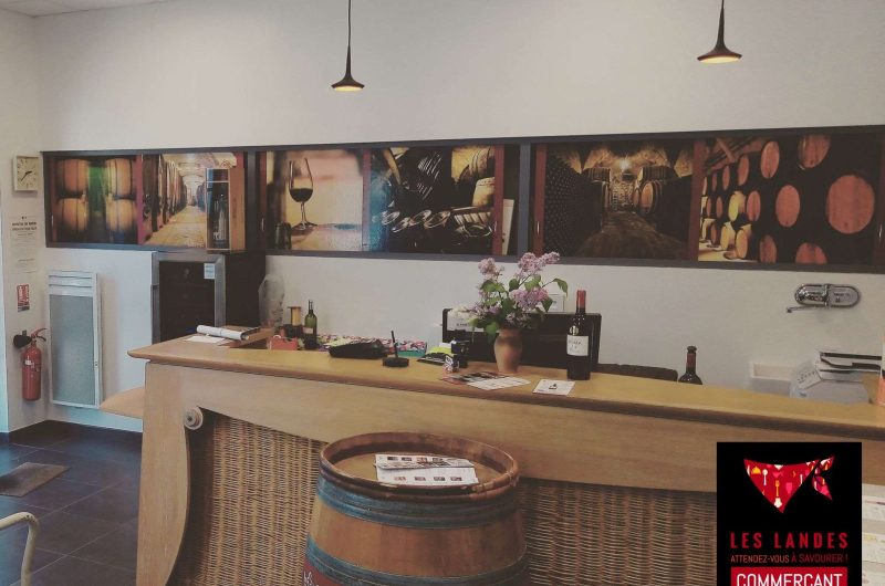 LacavedesvigneronsdeTursan03-Pouillon