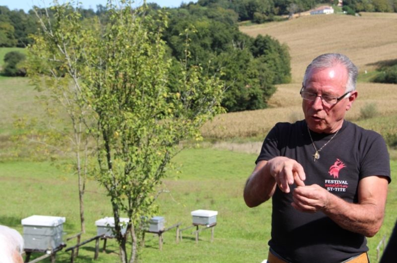 Le Rucher de Chalosse – André Lataste apiculteur