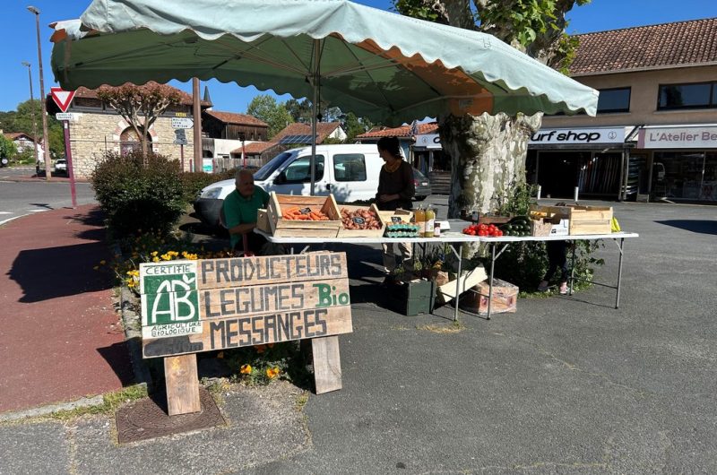 Le chant des vagues_Messanges_Landes Attractive Sud
