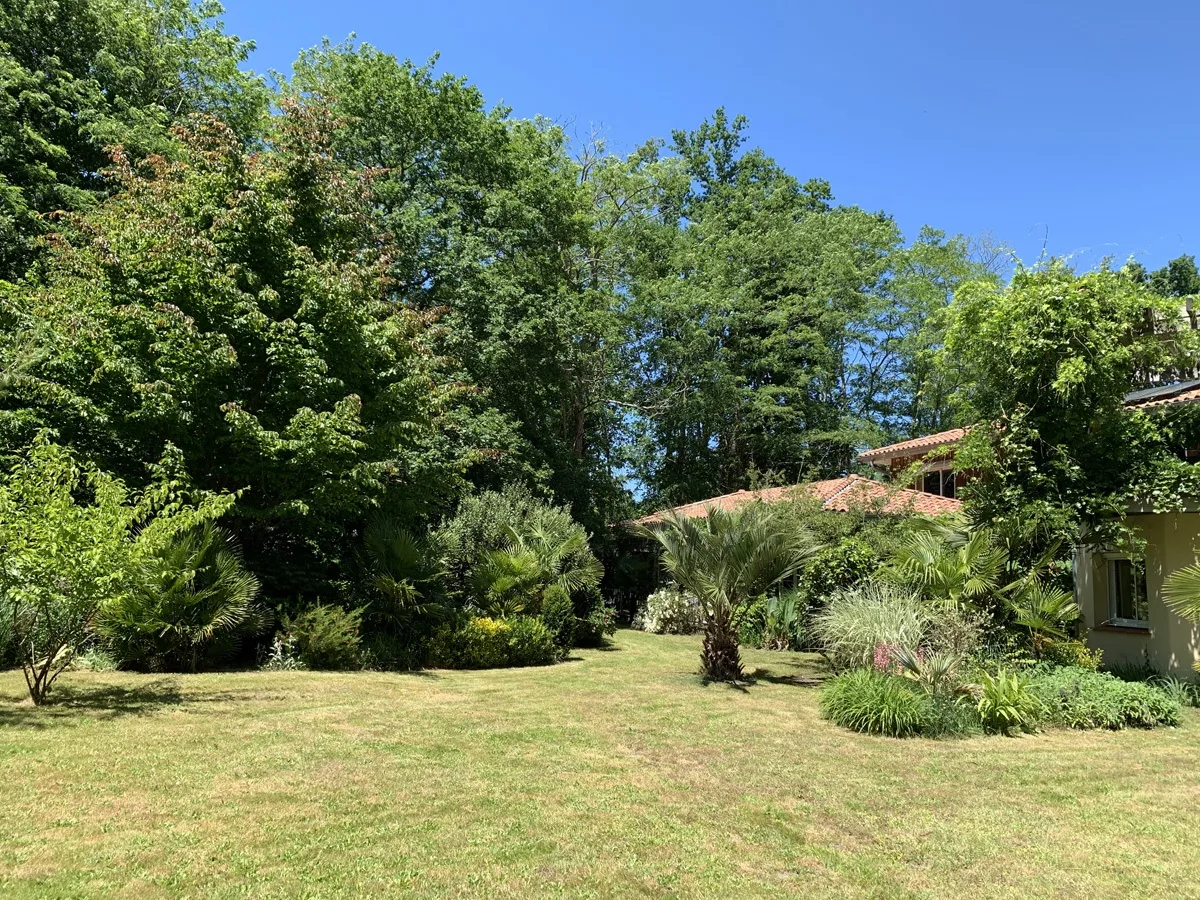 Le-habre-Charlotte-2019–24