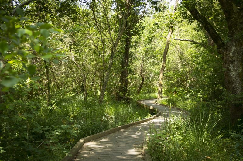 Léon_4132_CLNT©SophiePawlak