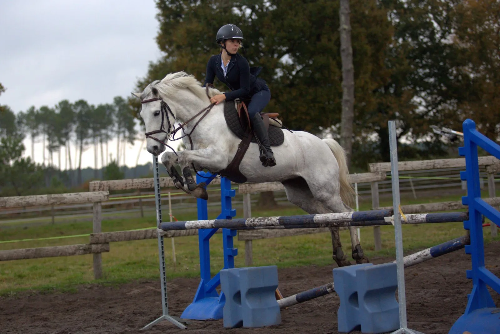 Léon_EcuriesMont Royal (1)