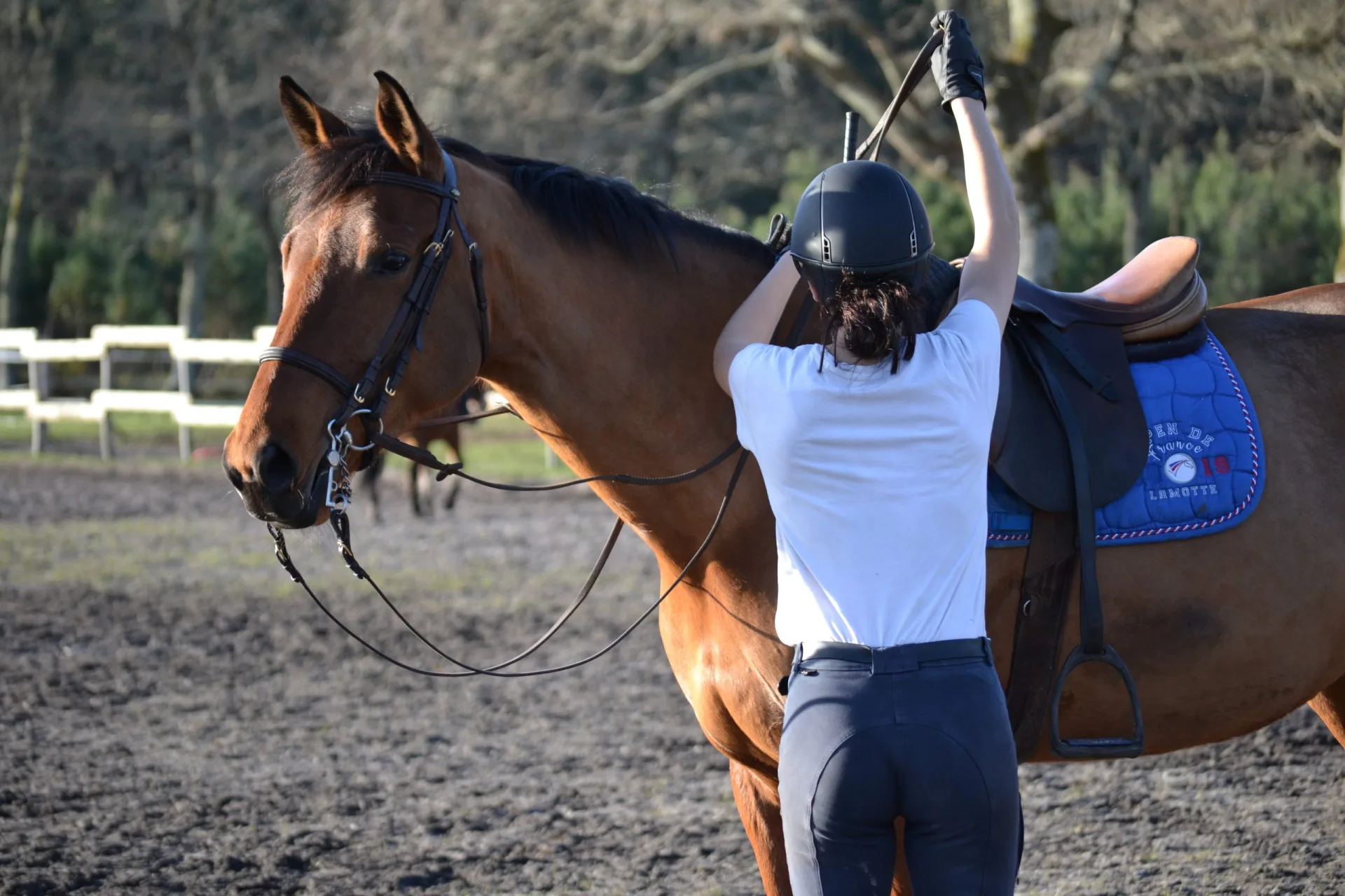 Léon_EcuriesMont Royal (5)