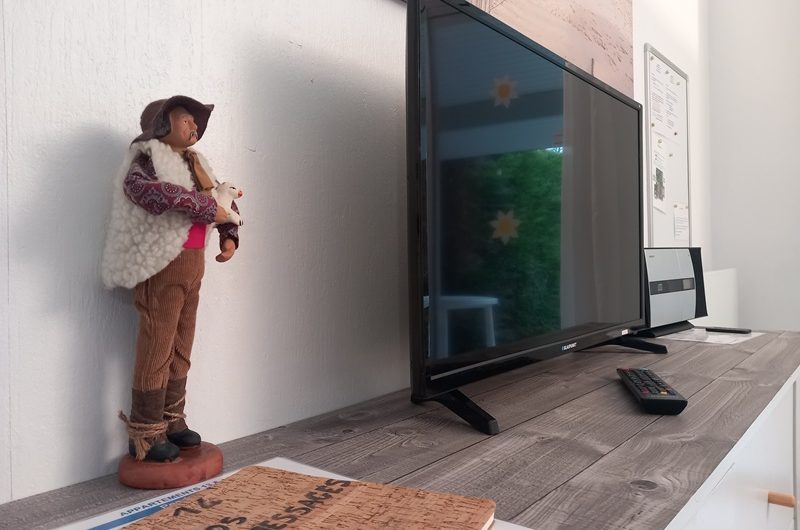 Les Albizias 13-14 -salon séjour (22)