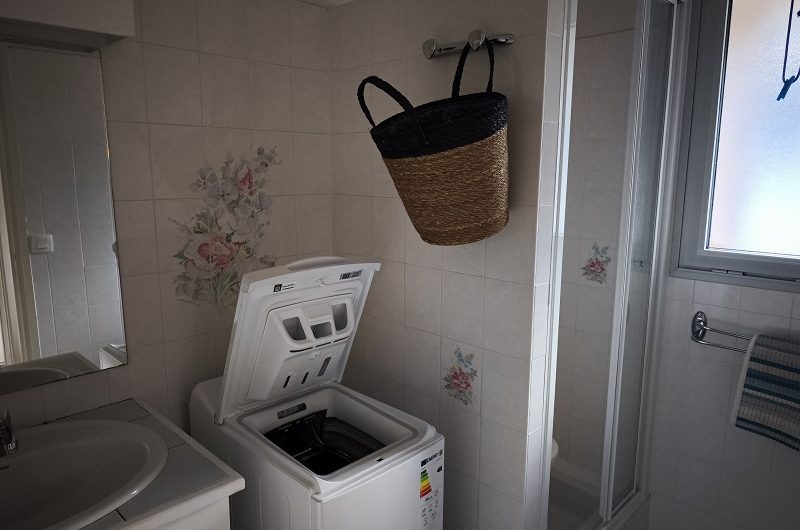 Les Albizias n°15 (4)