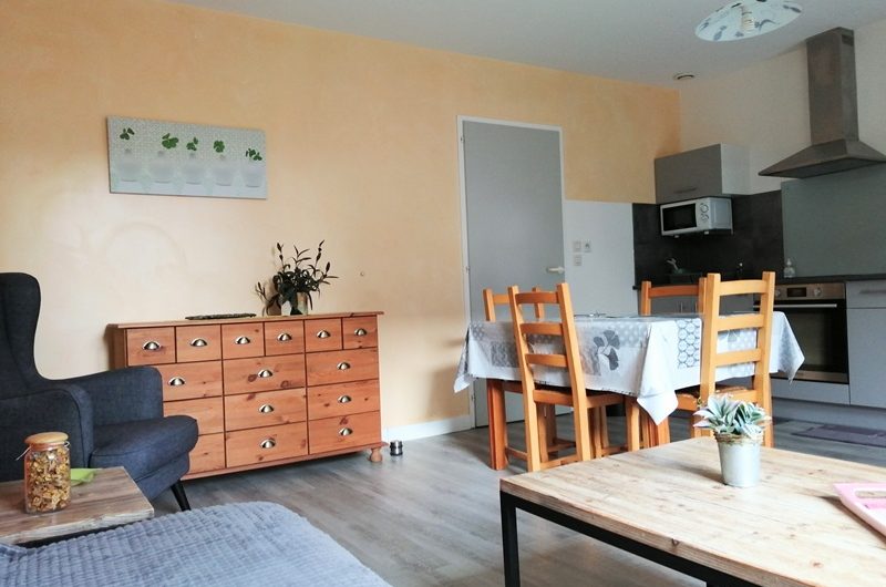 Les Gauras Lilas (4)