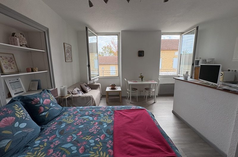 Les Hirondelles n°3 (2)