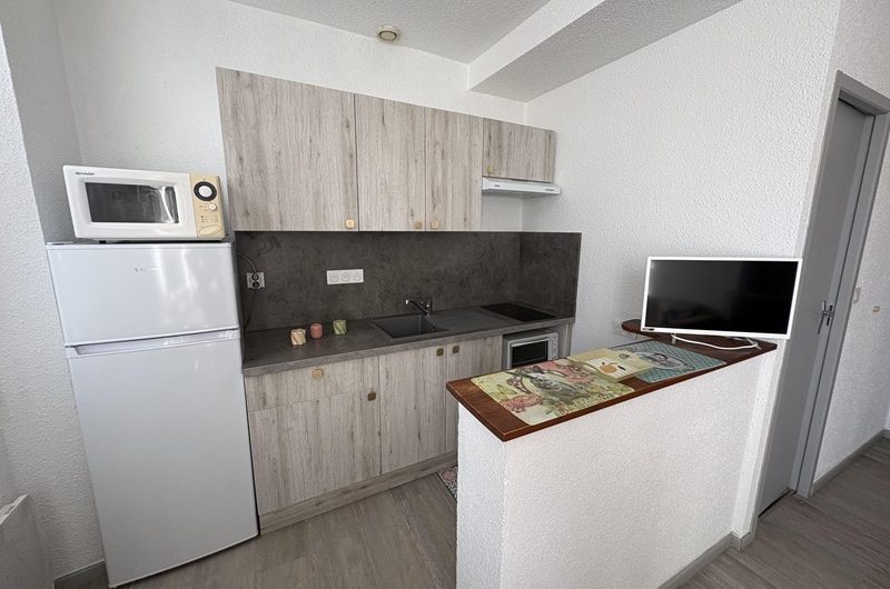 Les Hirondelles n°3