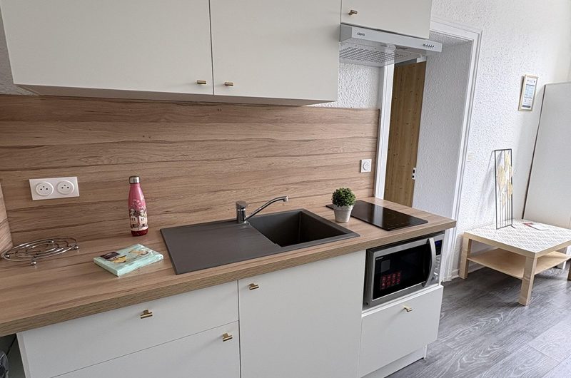 Les Hirondelles n°4 (2)