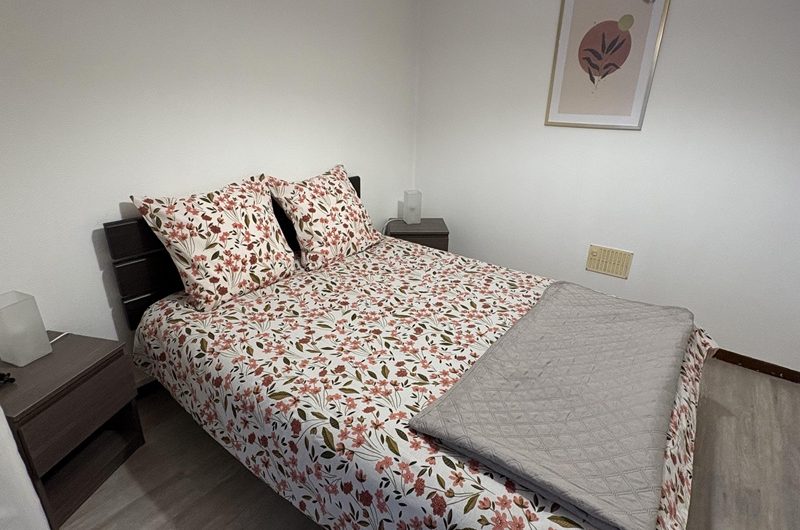 Les Hirondelles n°6 (5)