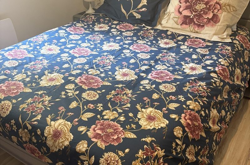 Les Hirondelles n°7 (3)