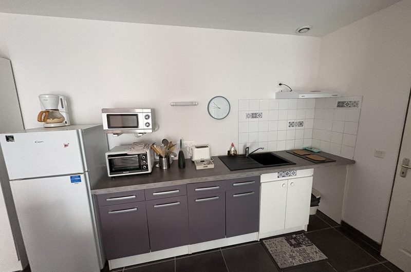 Les Hirondelles n°7(2)