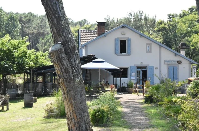 Les-roseaux-Seignosse-Landes Atlantique Sud-Les-Roseaux–1- (1)