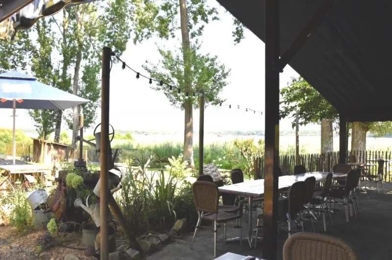 Les-roseaux-Seignosse-Landes Atlantique Sud-Les-Roseaux–1- (3)