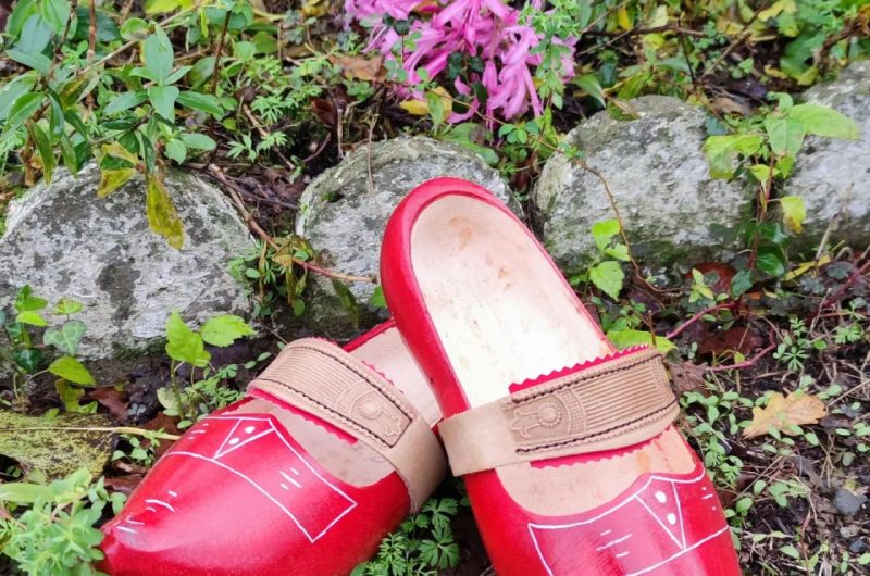 Lesabotdeslandes©lesabotdeslandes