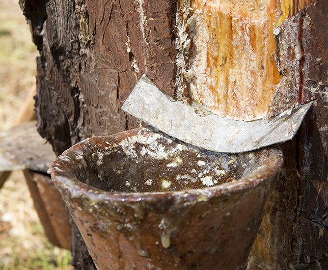 LitEtMixe_5702_CLNT-®SophiePawlak