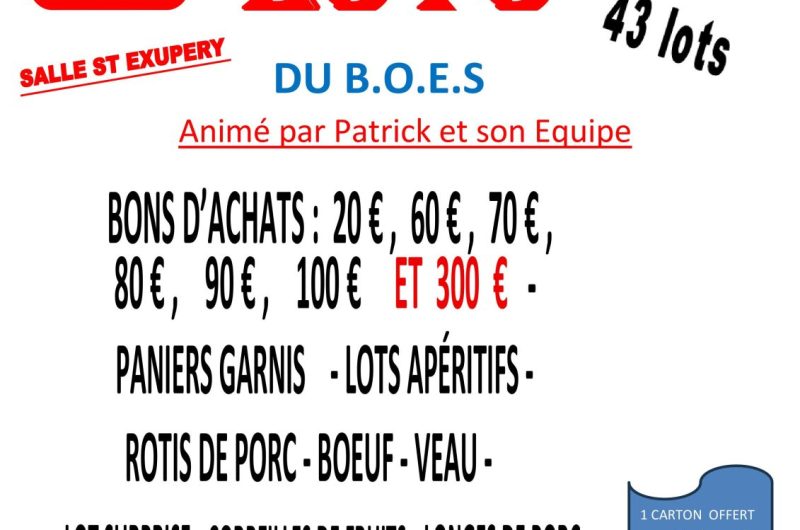 Loto-affiche–du-b.o.e.s-images-0