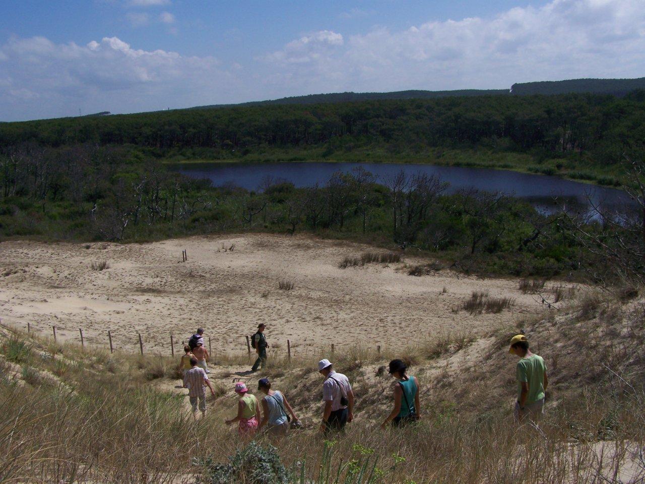 A Mimizan Plage, sentier de découverte „l’Etang de la Mailloueyre“