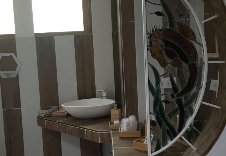 Meublé Orangerie – Ste Marie de Gosse – OTI LAS (8)