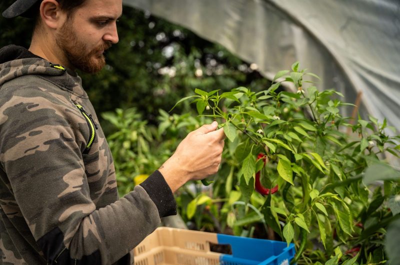 Miramont-Sensacq_La Ferme de Loustaou_@Enzo Mounet(8)