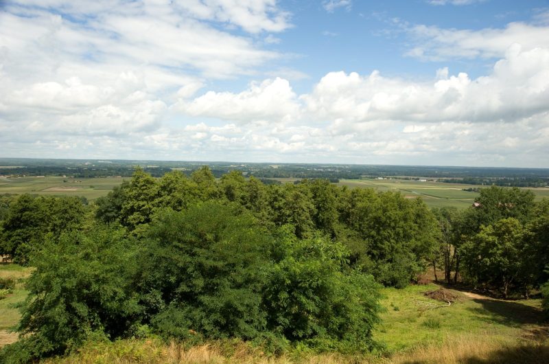 Montaut_Paysages_Anne Lanta (2)