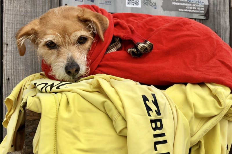 NATURAL SURFLODGE SOUSTONS LANDES (1)