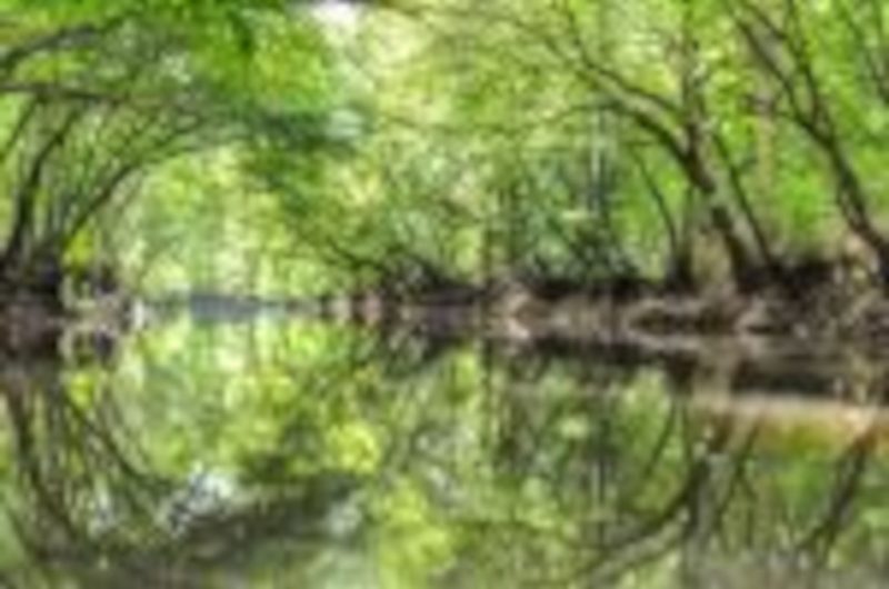 OTPT_CanoëSurLaMidouze_3