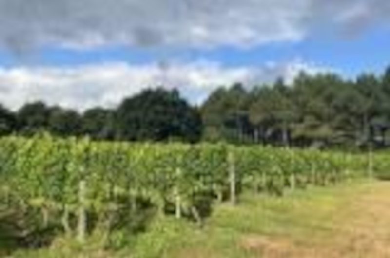 OTPT_LabastideFondousse_Villenave_02