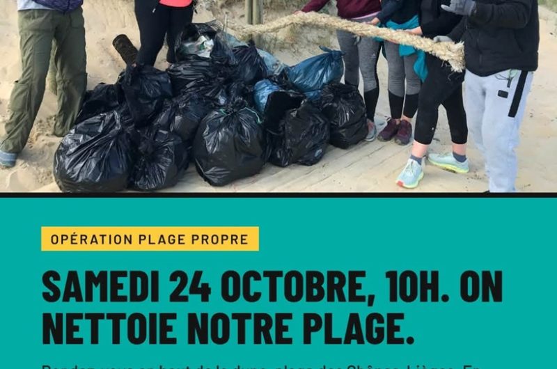 Opération Plage propre Ecole surf du golf_Molietsetmaa2026@OTILandesAtlantiqueSud
