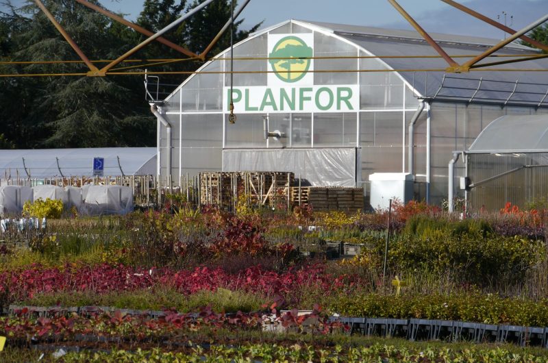 PEPINIERE PLANFOR