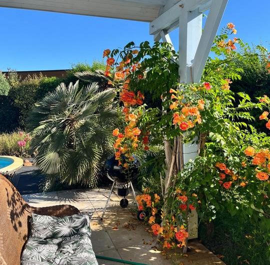 PHOTO-2025-12-07-17-43-24 (Copier)