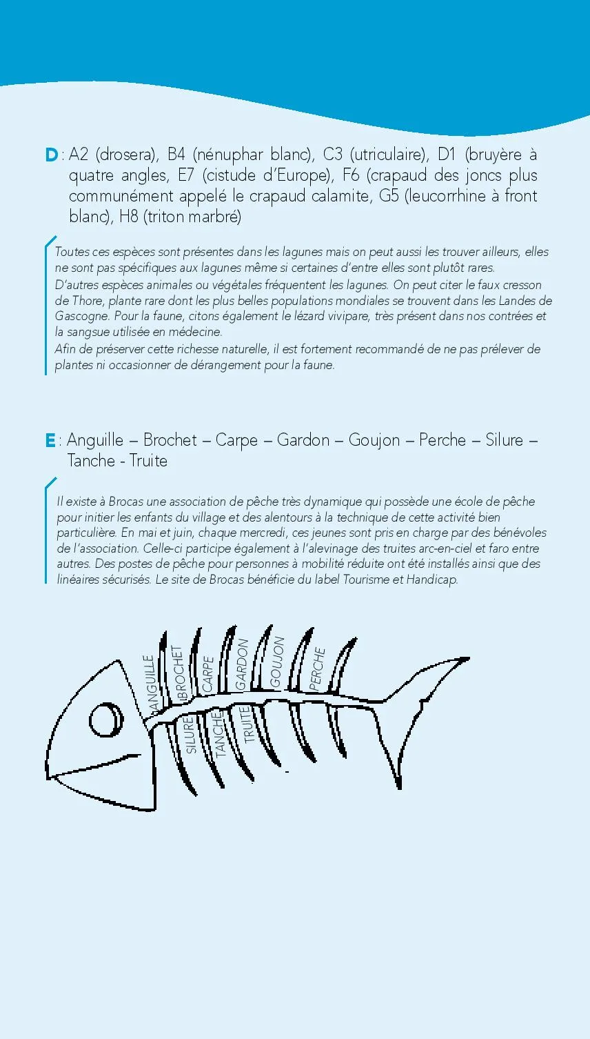 Parcours-Orientation-Brocas-2019-page-019