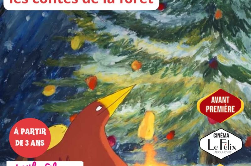 Patouille et Momo Les contes de la Forêt