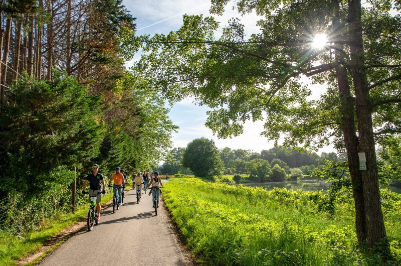 Photo 1 Balade découverte nature Landaise © Mathieu Prat