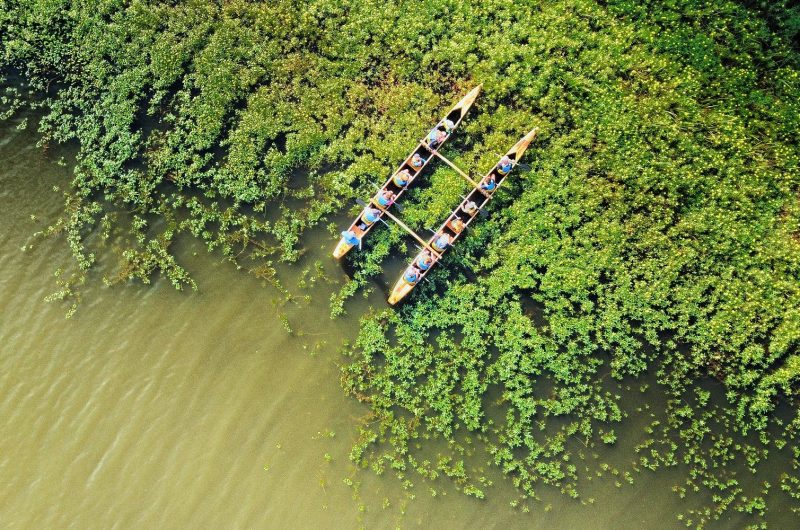 Pirogue-Faune-landaise-2