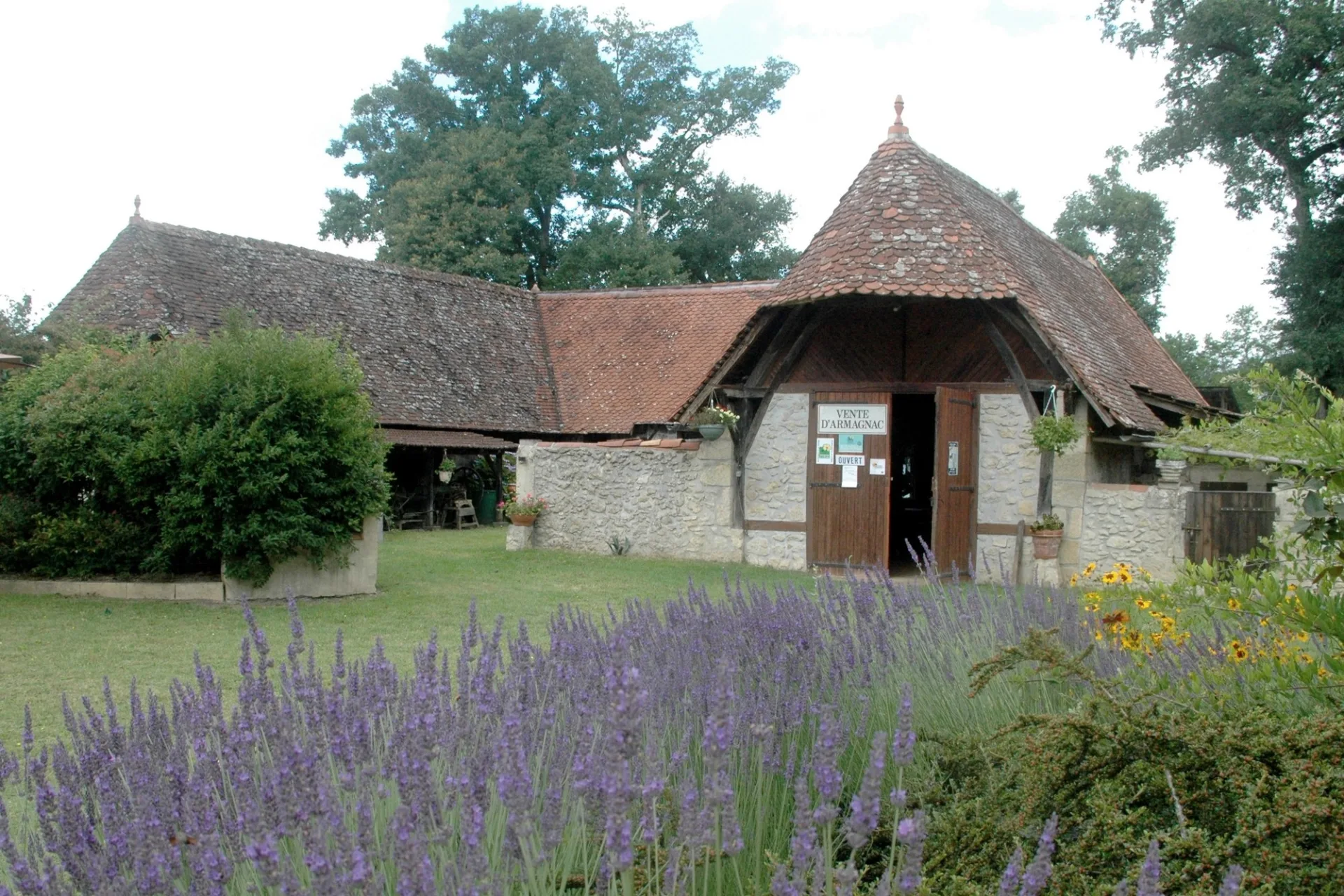 Producteur – Armagnac – Saint Justin – Chai de Soube
