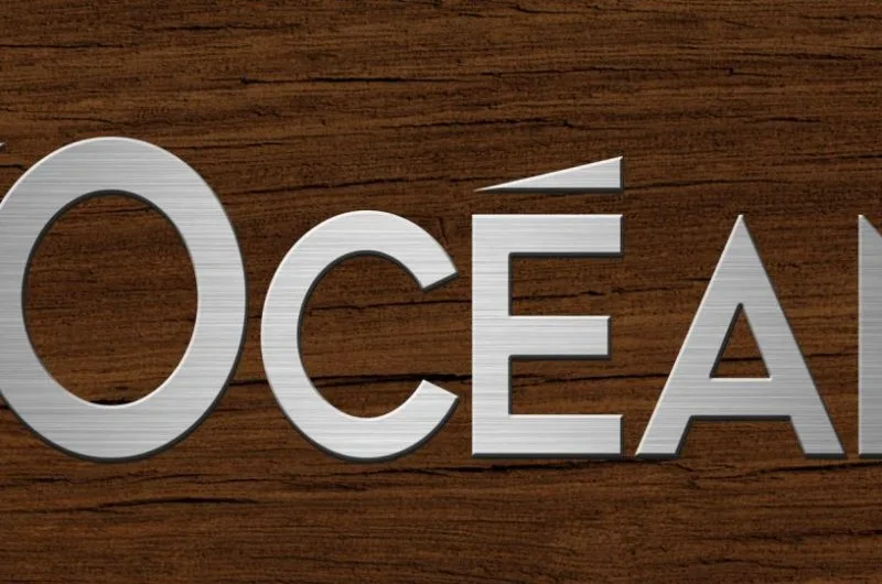 Restaurant Z-Oceane-Vieux-Boucau landes (3)