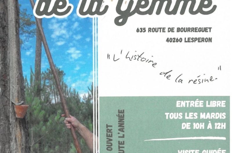 SKONICA MIN26040915120