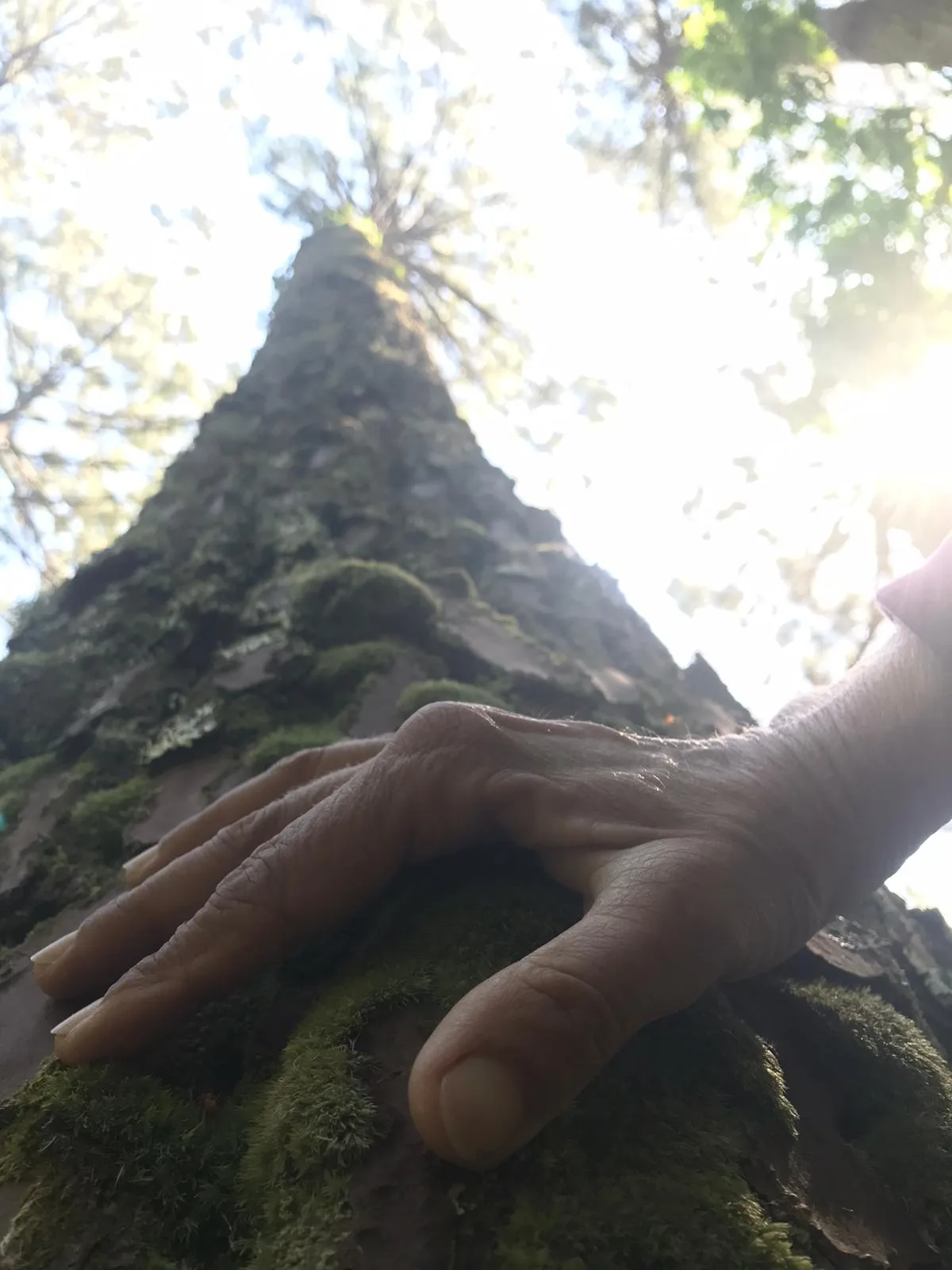 SOPHRO BALADE MOLIETS SEMINAIRE GROUPE (4)