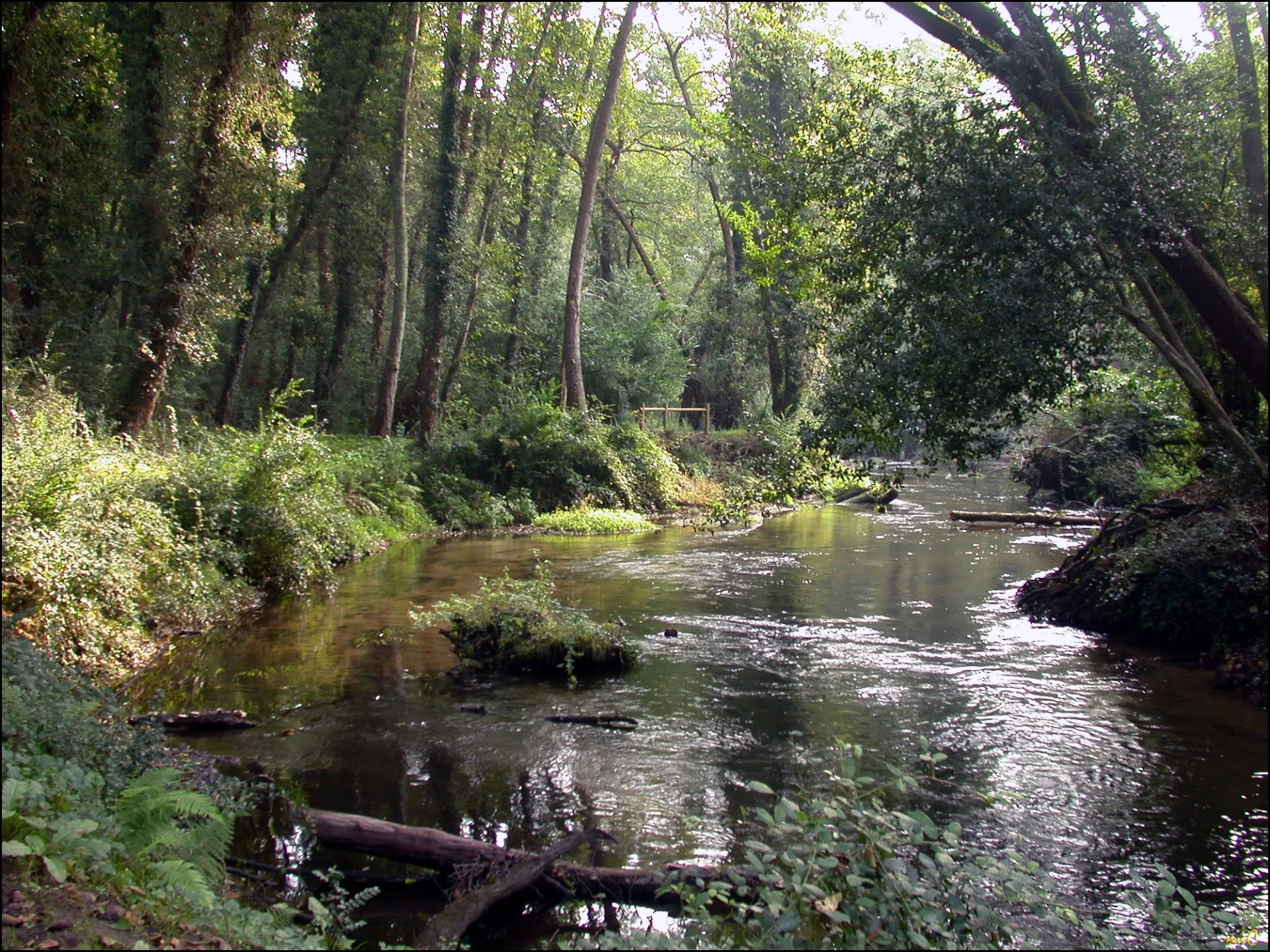 A Mézos, sentier du Courlis