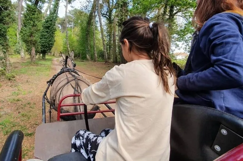 STJU_La Roue Libre 40 (2)