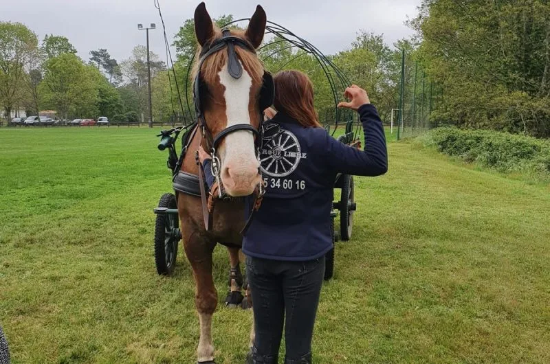 STJU_La Roue Libre 40 (3)