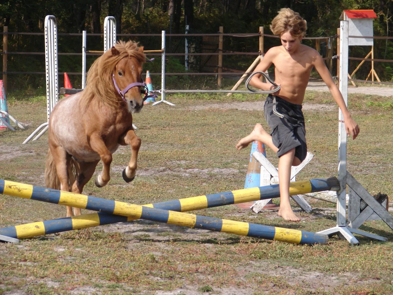 STJU_Poneyclubgrandlio_BD (6)