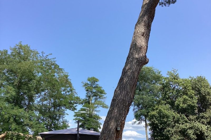 STJU_VEYNE Jean-Michel_Maison Tipasa (6)