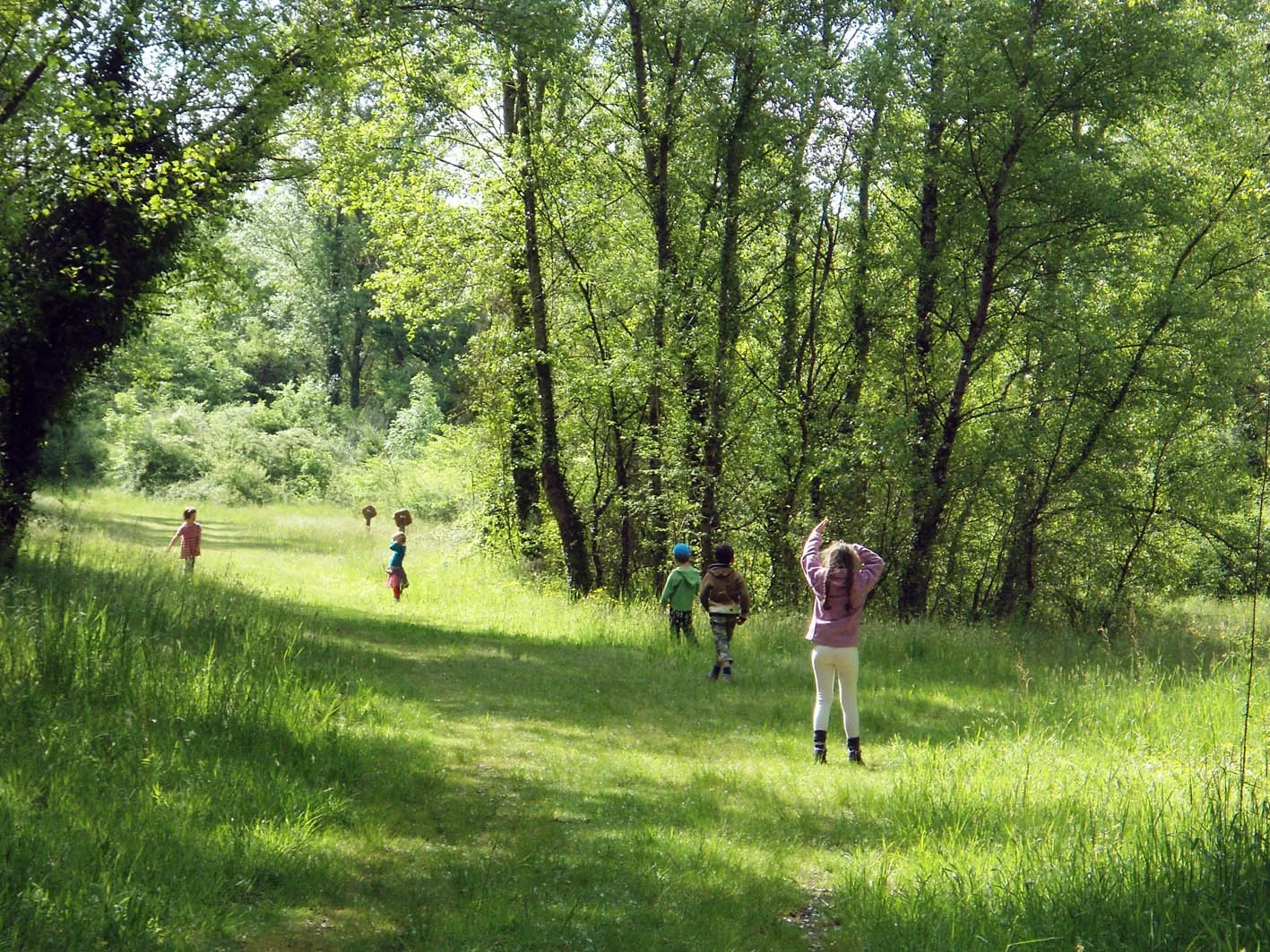 Saligues de l’Adour 2