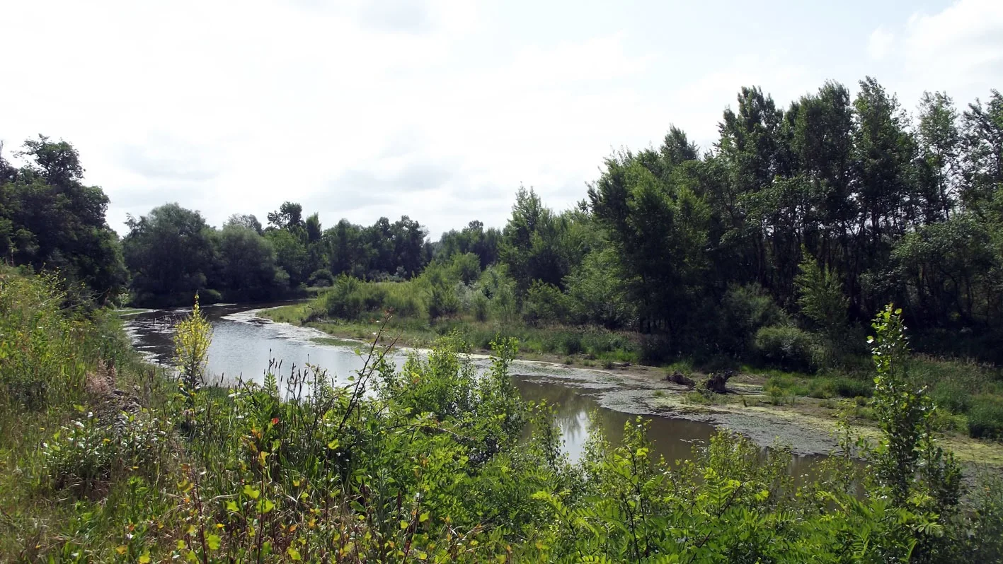 Saligues de l’Adour 5