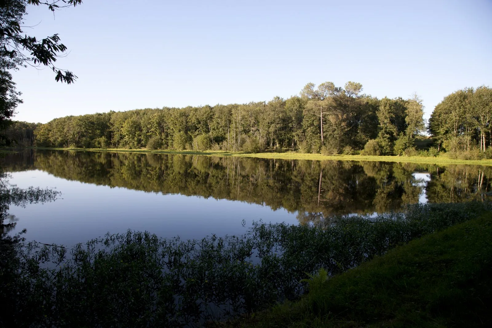 SarrailhdeGaranx-Etang-Pouillon