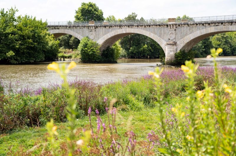 Saubusse_été_2025©Landes Atlantique Sud-5