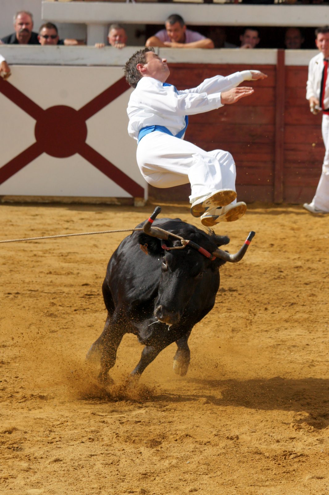 Saut périlleux vrillé – Copyright Céline LAFFARGUE