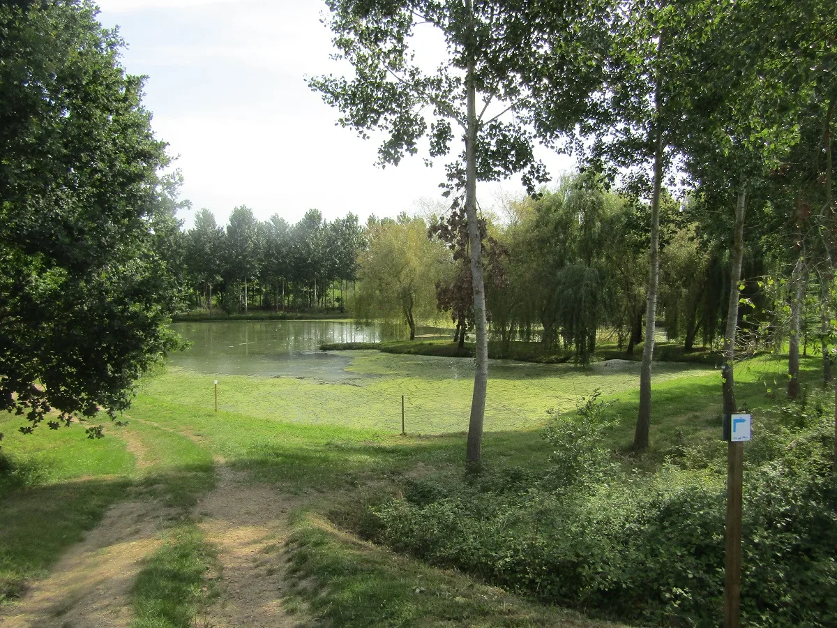 Sentier de l’Adour : de Préchacq-les-Bains à Gousse